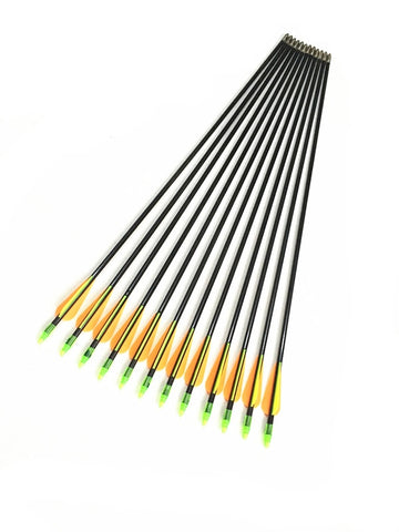 12PCS 80cm Fiberglass Arrows