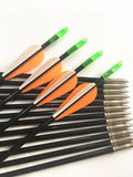 12 pieces Fiberglass Arrows 31''