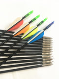 12 pieces Fiberglass Arrows 31''