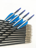 12 pieces Fiberglass Arrows 31''